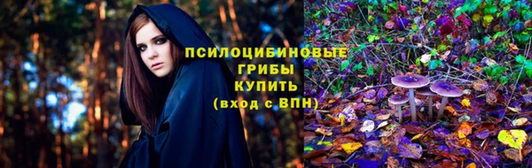 дживик Пестово