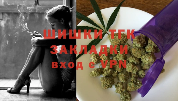 крисы Аркадак
