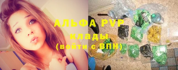 дмт Пересвет